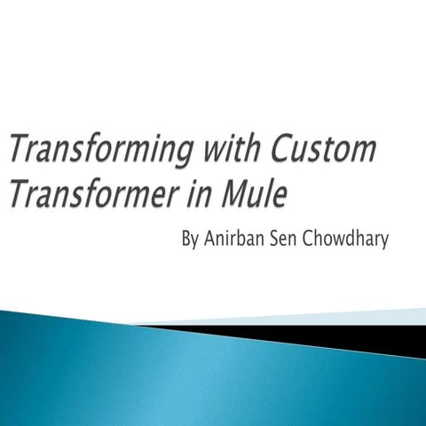 Converting with custom transformer