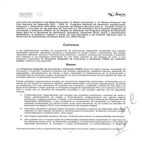 Convocatoria piiex estatal