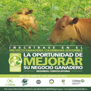 Convocatoria segunda