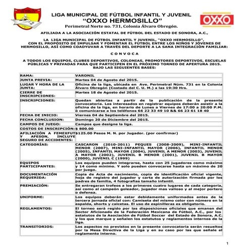 Convocatoria torneo de apertura 2015