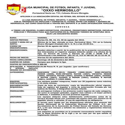 Convocatoria torneo de apertura 2015