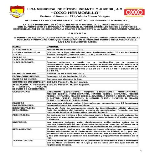 Convocatoria torneo de clausura  2013