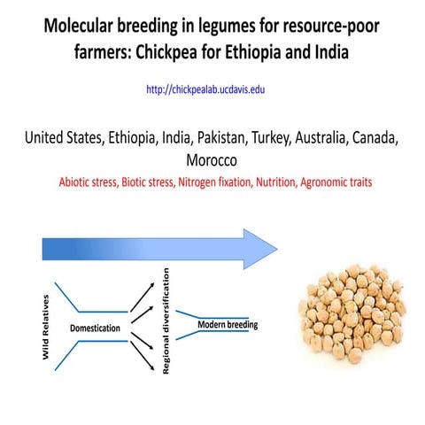 Molecular breeding in legumes for resource-poor farmers: Chickpea for Ethiopi...