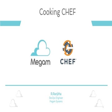 Cooking chef