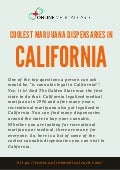 Coolest marijuana dispensaries in california