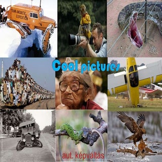 Cool Pictures