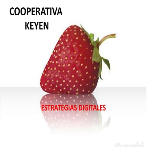 Cooperativa keyen