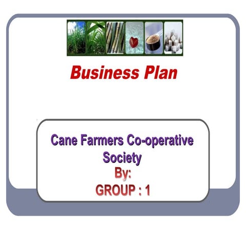 Co operative business plan group-1
