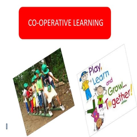  Co-operative learning-learning a joint effort