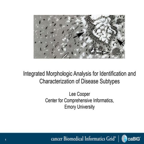 Dr. Lee Cooper: Integrated Morphologic Analysis for Identification and Charac...