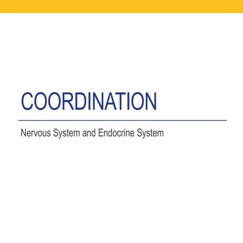 The Coordination System