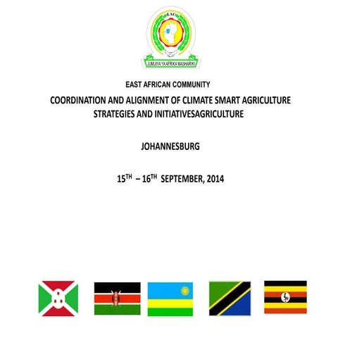 Coordination and alignment of CSA strategies and initiatives 
