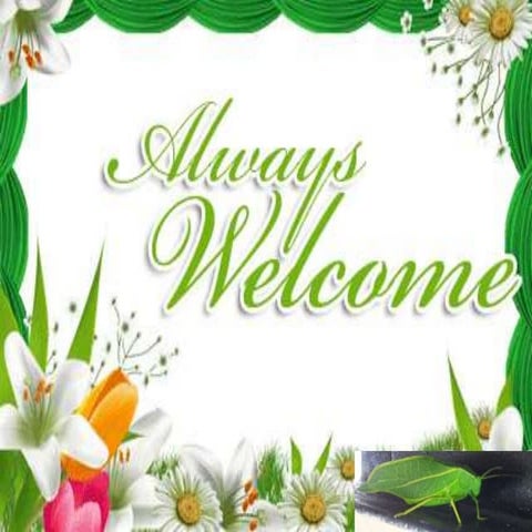 Coordination as a management function