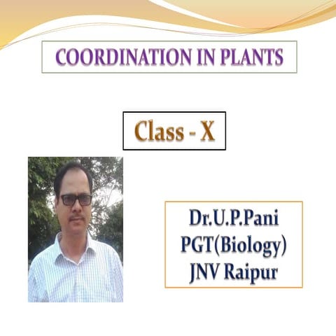 Coordination in plants