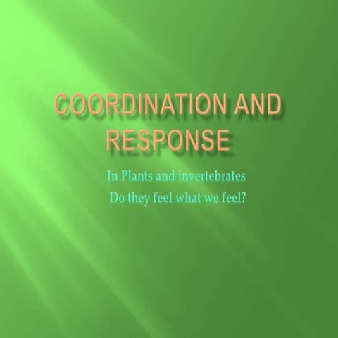 Coordination in plants | PPTX