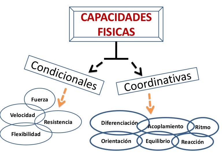 Coordinativas