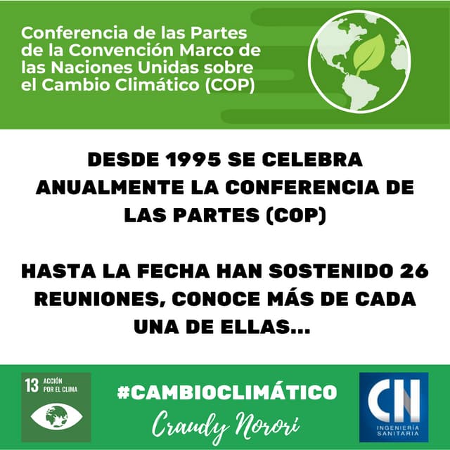 Conferencia de las partes COP PDF
