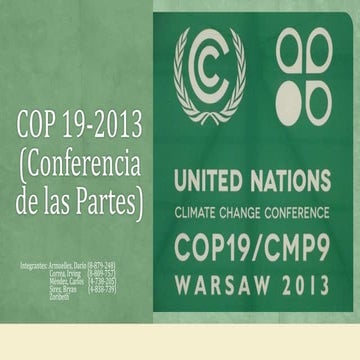 COP 19 2013.pptx