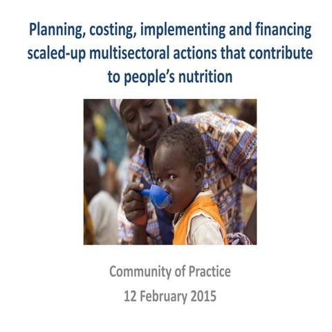 Tools for planning, costing, implementing and financing scaled-up multisector...