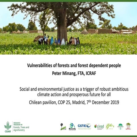 Vulnerabilities of forests and forest dependent people