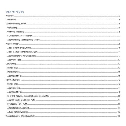 COPA document end to end implementionsss