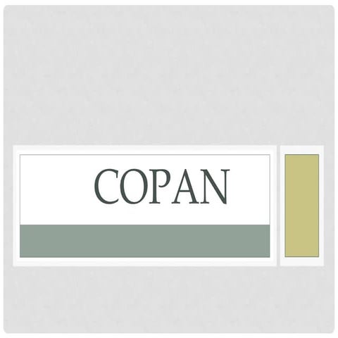 Copan | PPTX