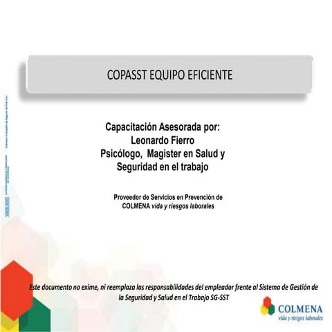 Copasst equipo eficiente colmena