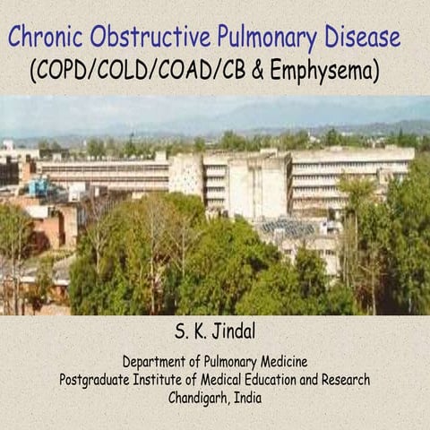 COPD - Ldh Jan 2010.ppt