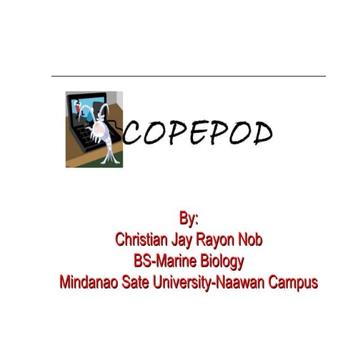 Copepod