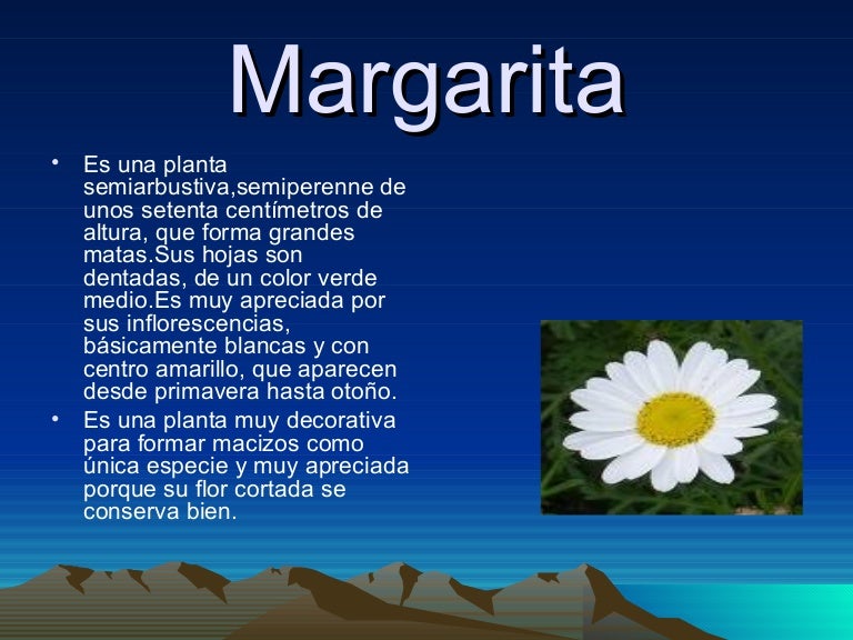 Copia De Margarita