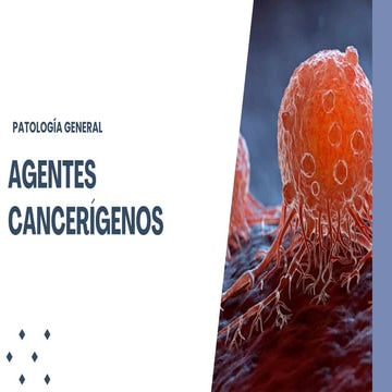 Copia de AGENTES CARCINGÉNICOS.pdf fbv gf gf tg frtgm g | PDF