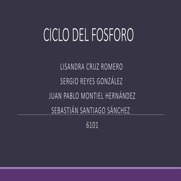 Copia de ciclo del fosforo.pptxjdhhshshshdhhdhshs