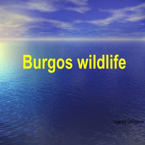 Copia de fauna de burgos