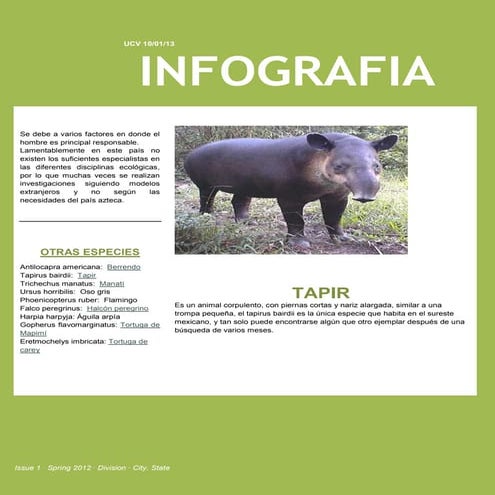 Animales en Peligro de Extinción