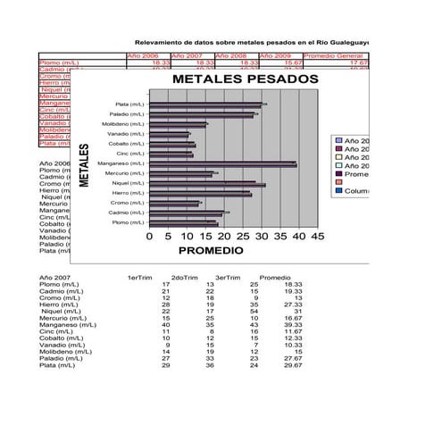 Copia De Metales Pesados
