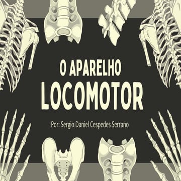 Comprehensive Overview of the Human Locomotor System and Its Functions ...