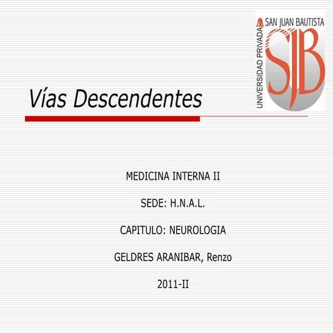 Vías descendentes