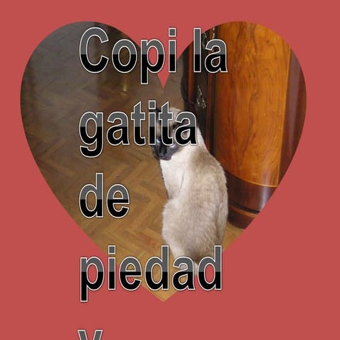 Copi La Gatita De Piedad Y Severino