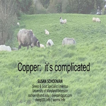 Copper: its complicated