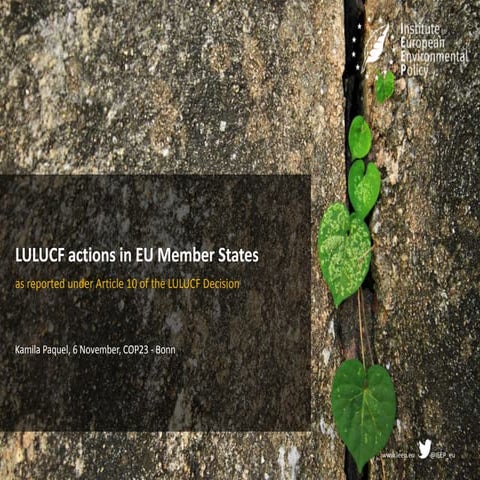 LULUCF actions in EU Member States 