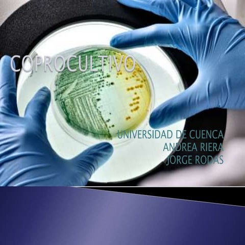 Coprocultivo básico