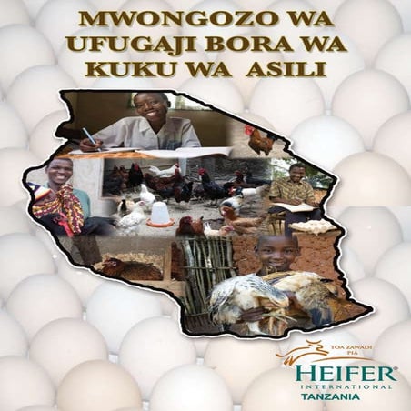 mwongozo maalumu kwa ufugaji kuku wa asili kwa watanzania