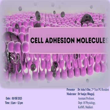 Copy - CELL ADHESION MOLECULES.pptx.....