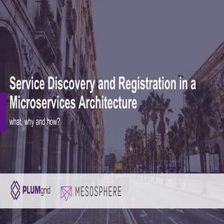 Service Discovery and Registration ...