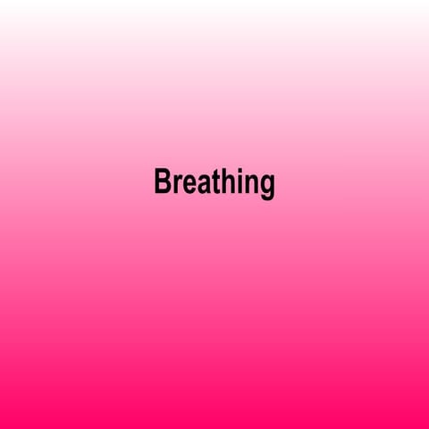 Copy Of 01 Breathing