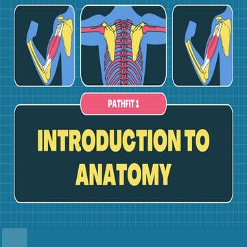 Copy-of-LESSON-2-HUMAN-ANATOMY_11 organs.pptx