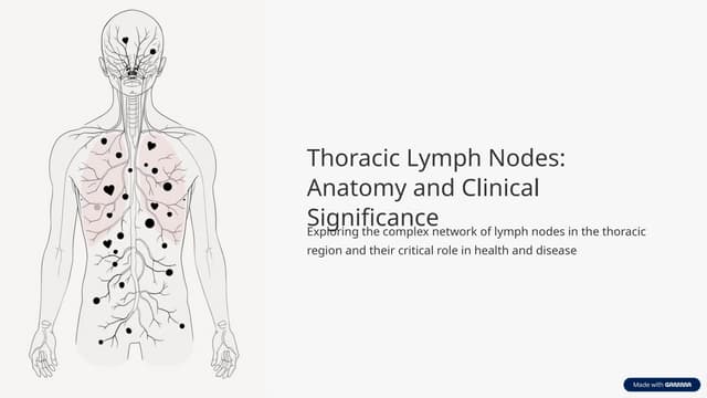 Copy Of Thoracic Lymph Nodes Anatomy And Clinical Pptx Copy Of Thoracic Lymph Nodes Anatomy And Clinical 3f2e7faa Thumbnail 