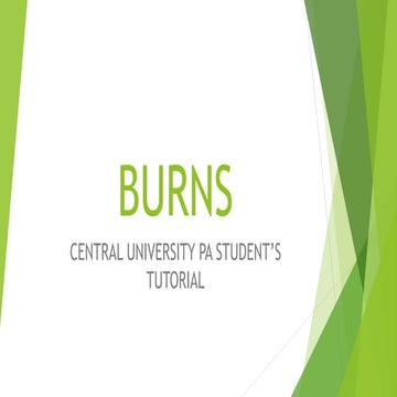 Copy2-BURNS slides.pptx