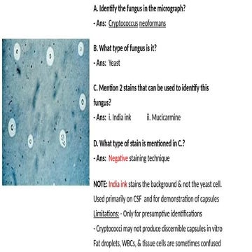 Copy2-Microbiology practiclllllllal.pptx