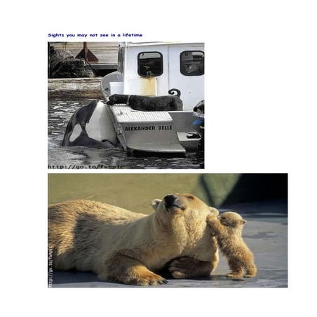 Copy (3) Of Copy Of Sightsyoumaynotseeinalifetime